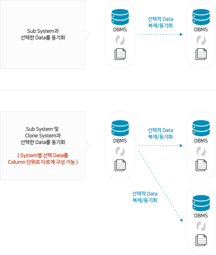 Sub System 및 Clone System과 선택적 Data 동기화